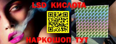 бошки Сланцы
