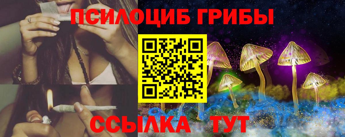Орёл  Псилоцибиновые грибы Psilocybe  Вход с VPN  Галлюциногенные грибы MAGIC MUSHROOMS 