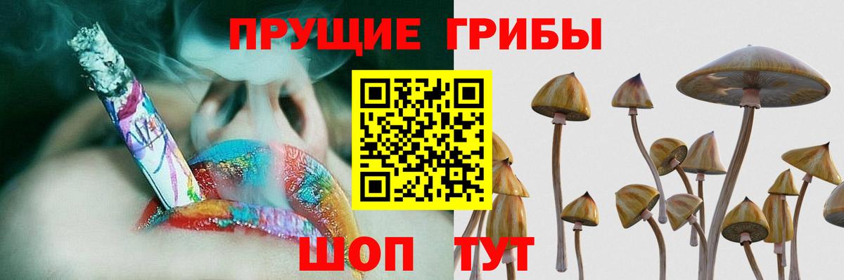 Псилоцибиновые грибы Cubensis Орёл